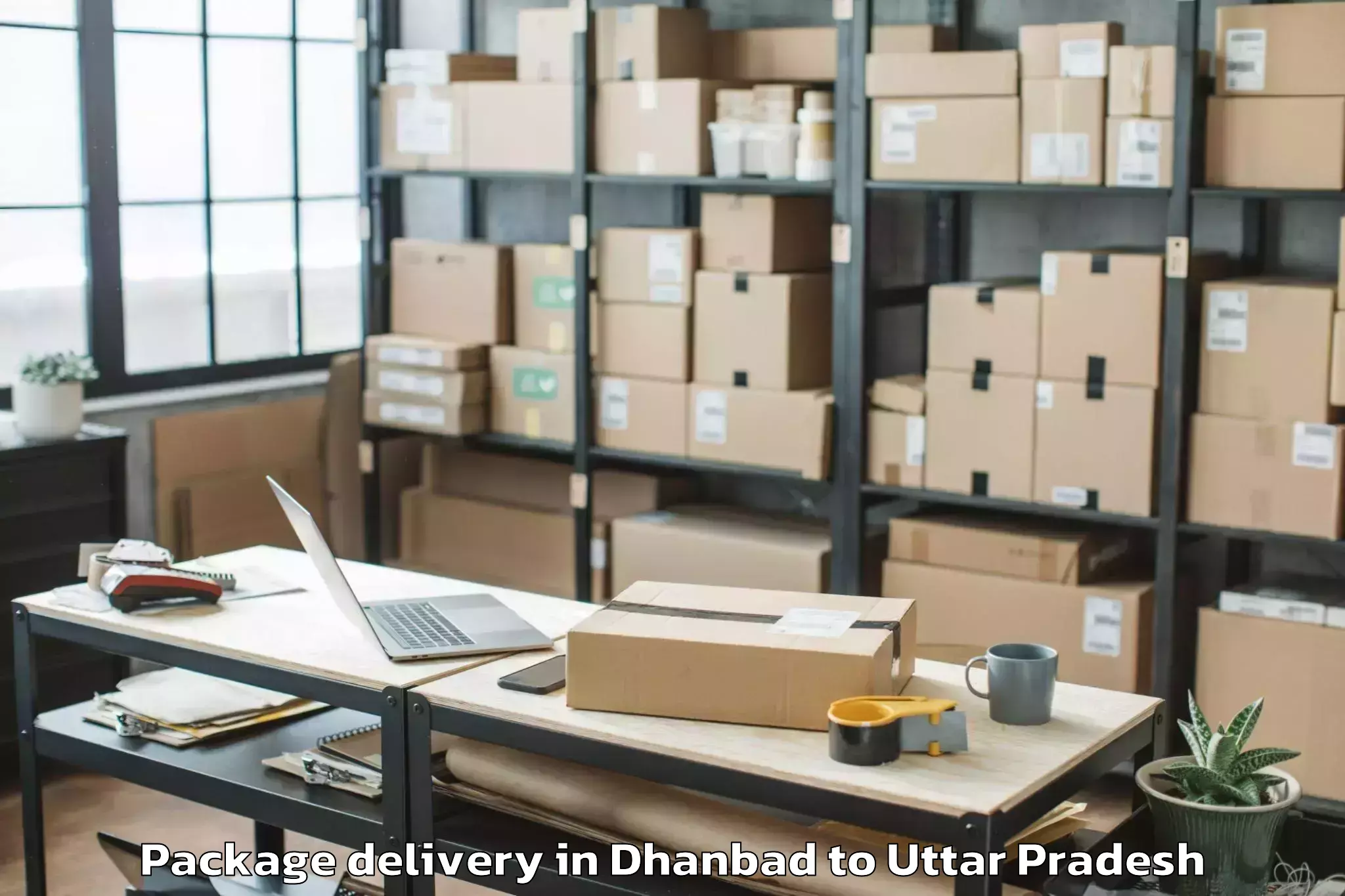 Book Dhanbad to Jagadguru Rambhadracharya Hand Package Delivery Online